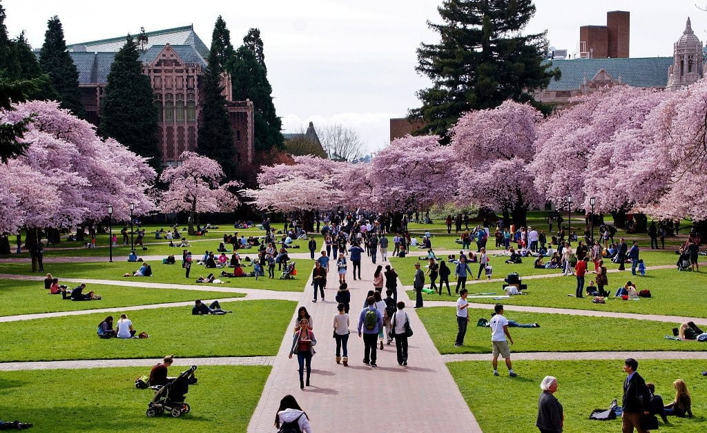 University-of-Washington