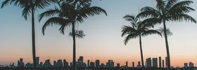 Orlando skyline at night with Lake Eola fountain